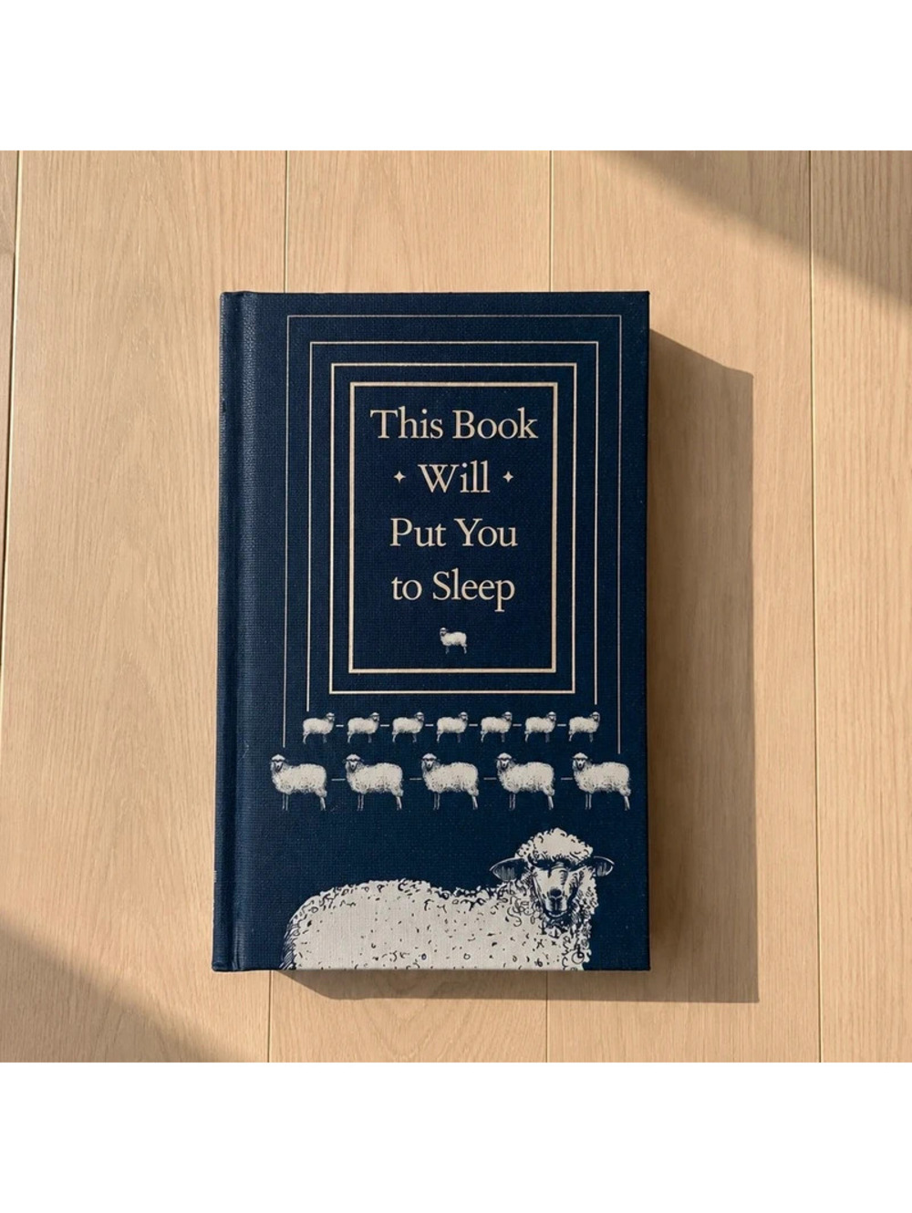 This Book Will Put You to Sleep Hardcover 2018 Chronicle Books Funny Gift Book